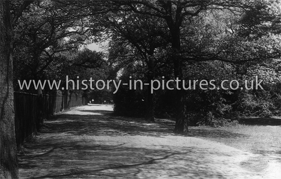 Knighton Lane, Buckhurst Hill. Essex. c.1930's